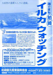 t_iruka.jpg (107485 �o�C�g)