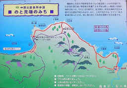 t_IMGP1299.jpg (63900 �o�C�g)